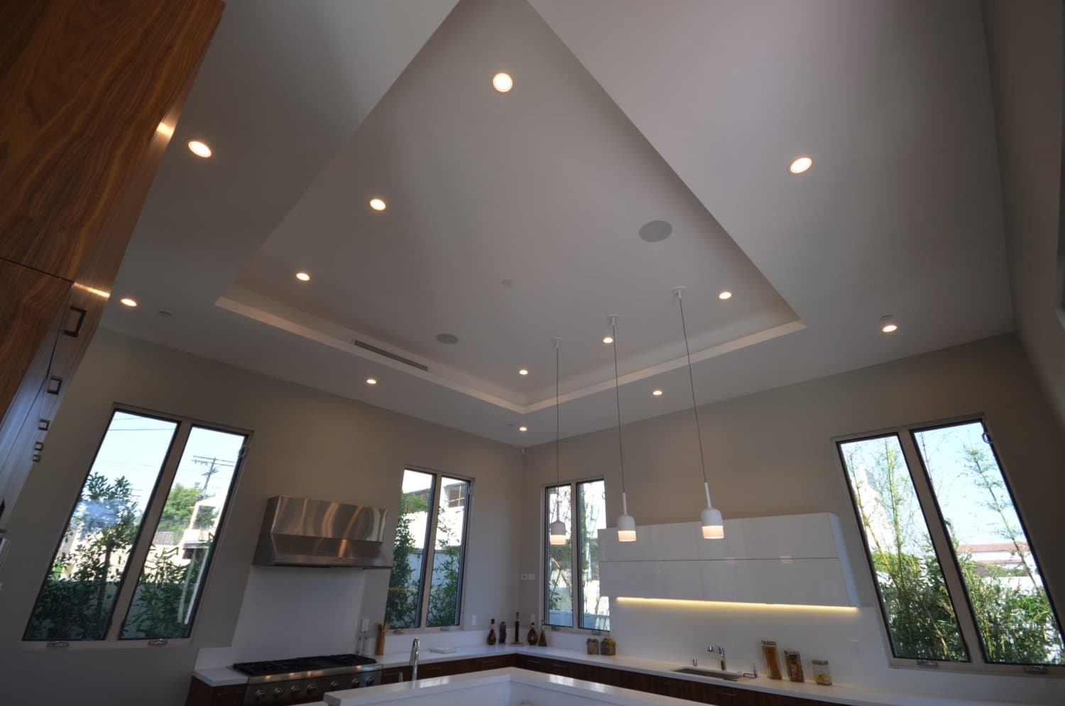 COMPLETE NEW CONSTRUCTION - LOS ANGELES - photo 3