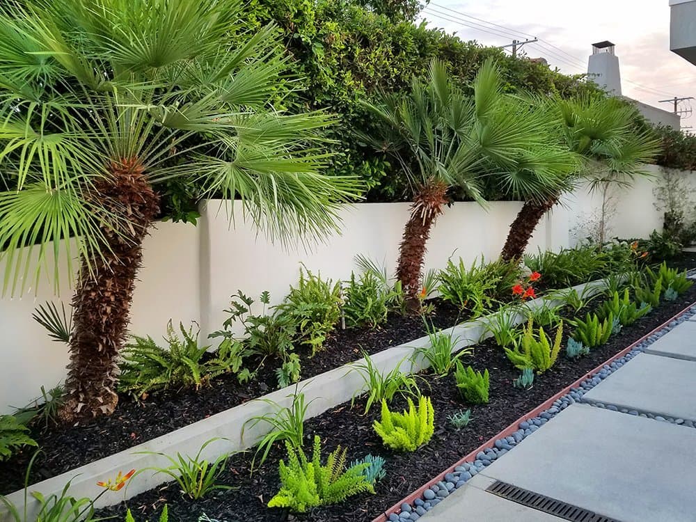 BACKYARD PROJECTS - photo 8