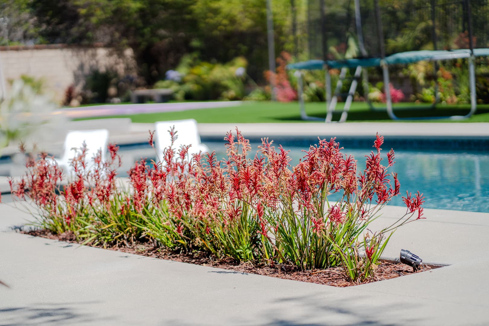 BACKYARD DESIGN AND REMODEL - AGOURA HILLS - photo 14